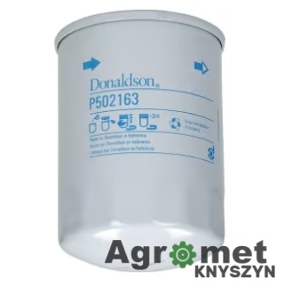 Filtr Paliwa Donaldson P502163